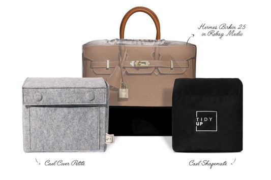 Hermes Birkin 25 Combo